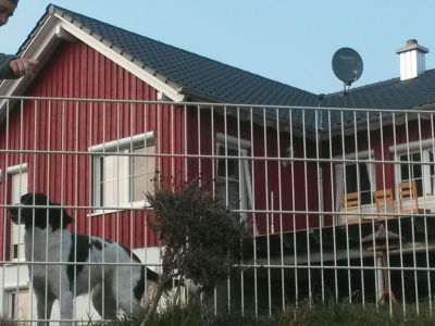 Zaun in weiß zum roten Haus
